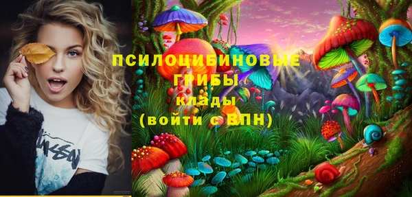 гашиш Гусь-Хрустальный