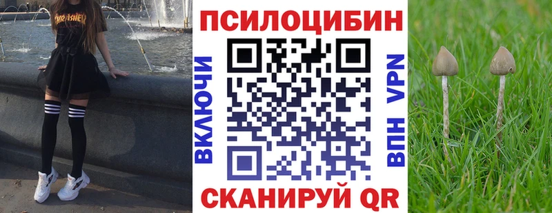 Купить где  Бабушкин  Псилоцибиновые грибы мицелий 